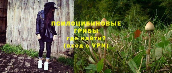 стафф Богородицк
