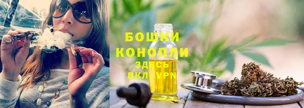 стафф Богородицк